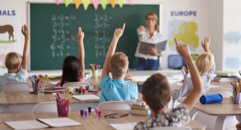 EDUCACION PRIMARIA
